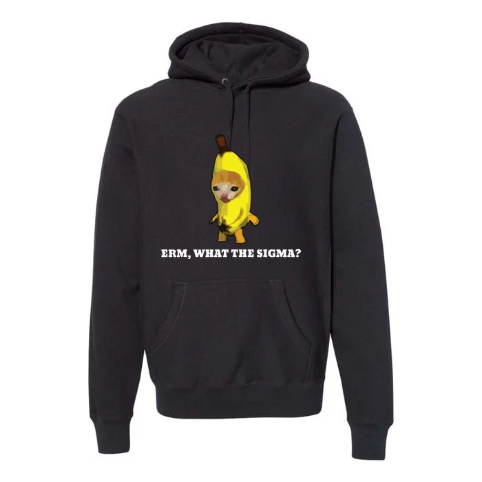 Erm What Sigma Cat Meme Premium Hoodie