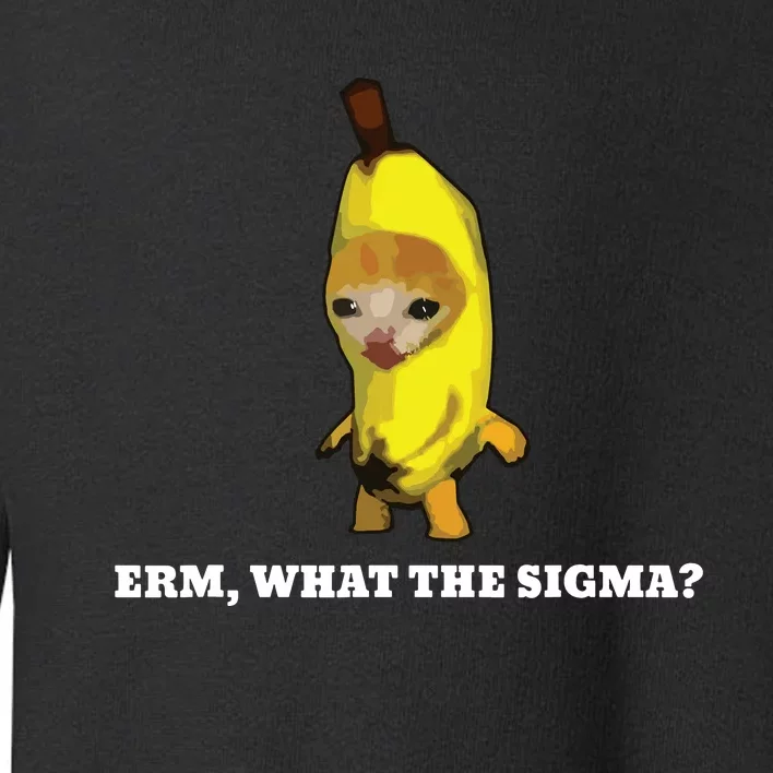 Erm What Sigma Cat Meme Toddler Sweatshirt