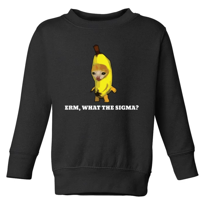 Erm What Sigma Cat Meme Toddler Sweatshirt