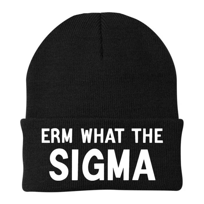 Erm What The Sigma Knit Cap Winter Beanie