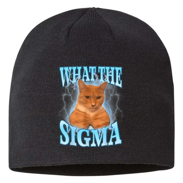 Erm What The Sigma Meme Cat Ironic Brainrot 8 1/2in Sustainable Knit Beanie