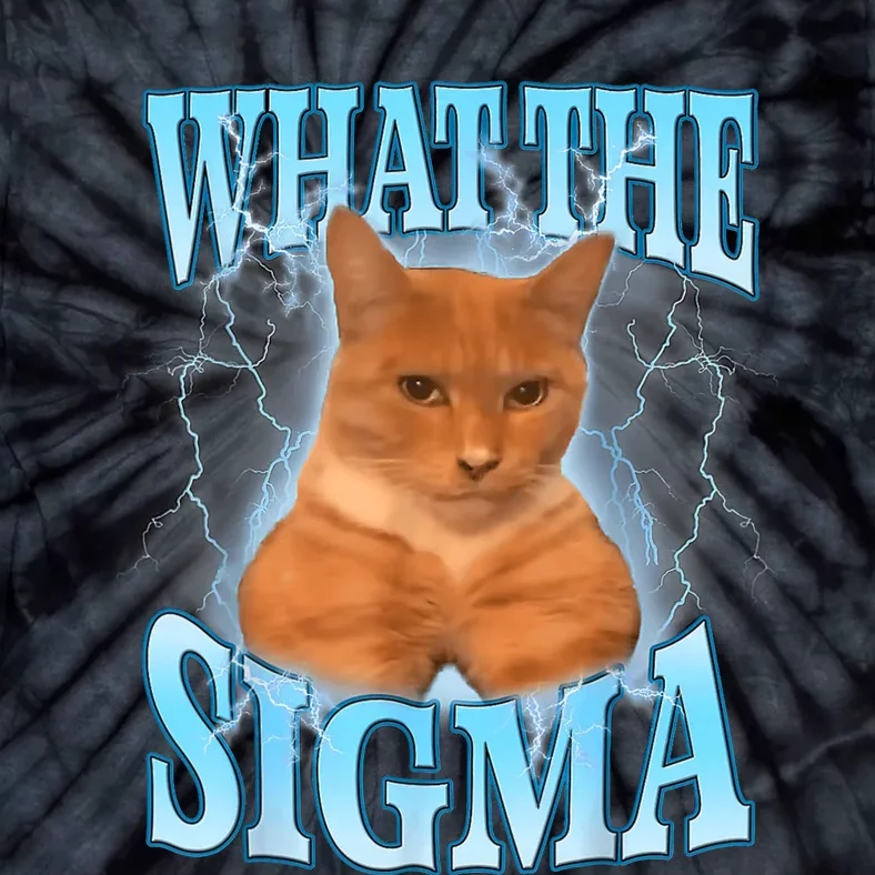 Erm What The Sigma Meme Cat Ironic Brainrot Tie-Dye T-Shirt