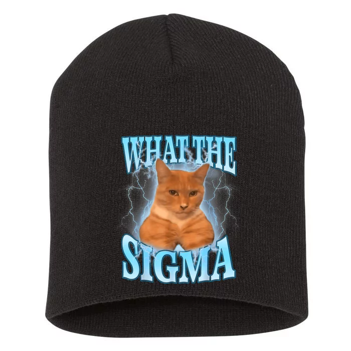 Erm What The Sigma Meme Cat Ironic Brainrot Short Acrylic Beanie