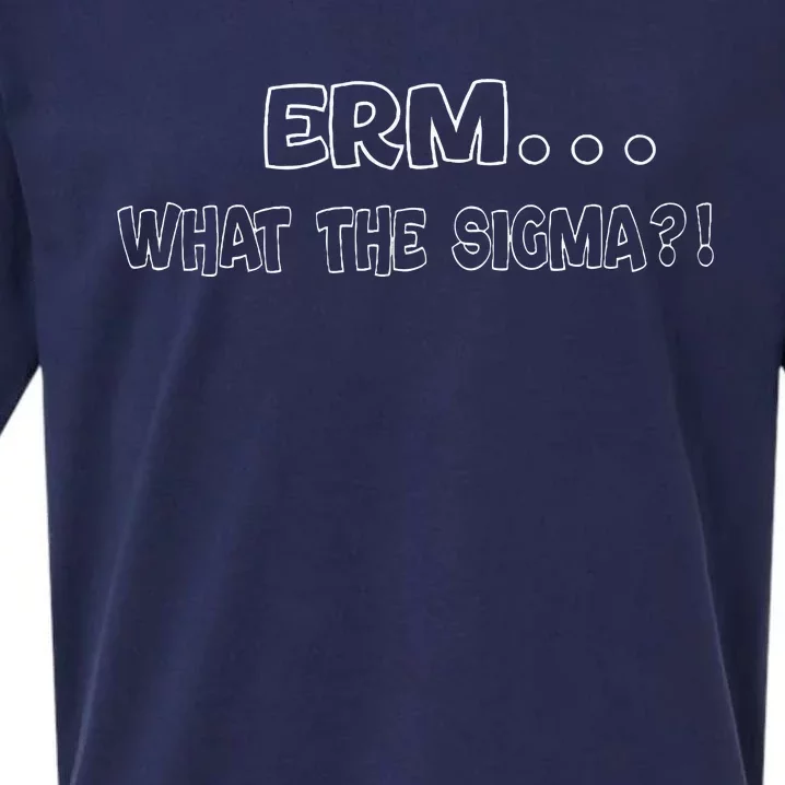 Erm What The Sigma Sueded Cloud Jersey T-Shirt