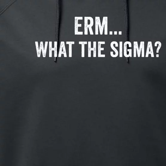 Erm What The Sigma Performance Fleece Hoodie