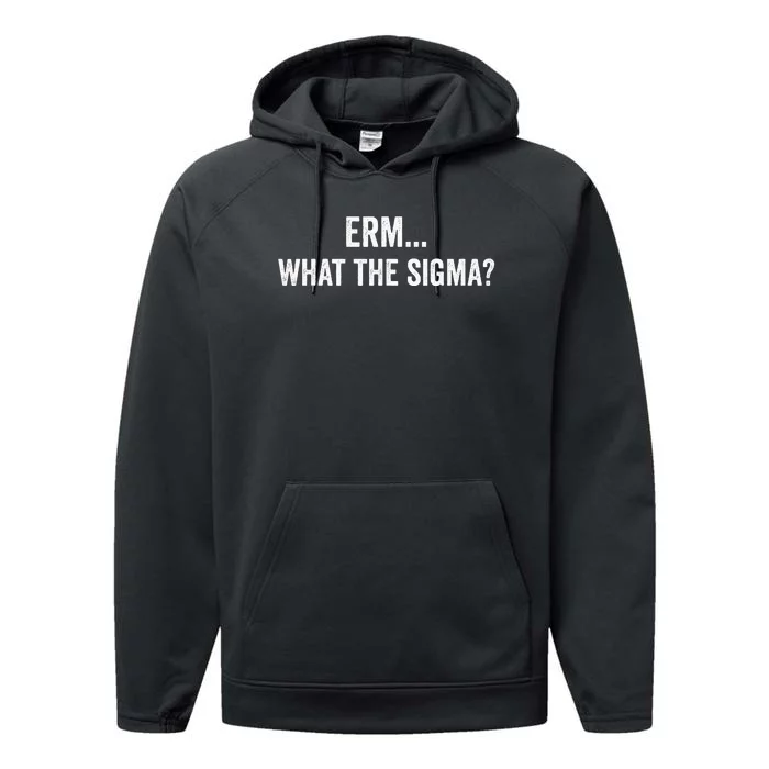 Erm What The Sigma Performance Fleece Hoodie