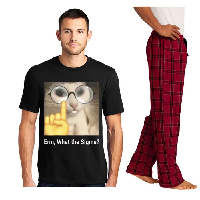 Erm What The Sigma Cat Meme Pajama Set