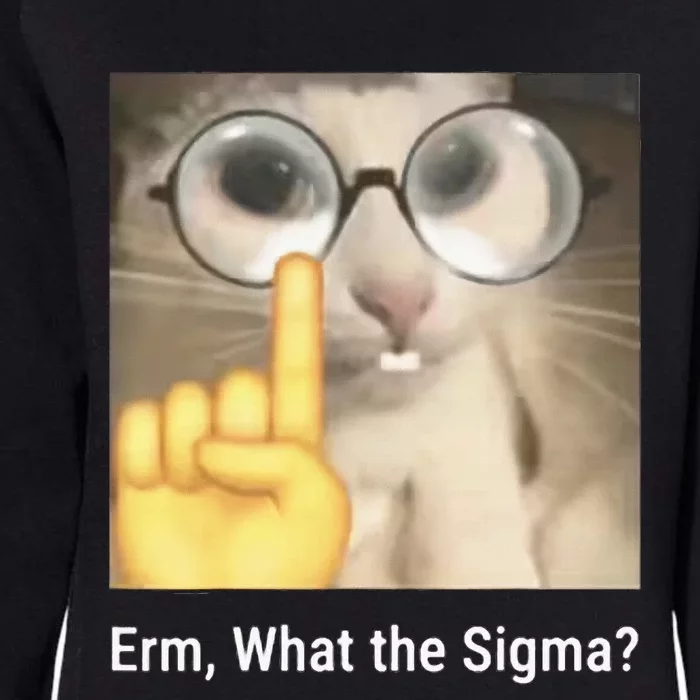 Erm What The Sigma Cat Meme Womens California Wash Sweatshirt