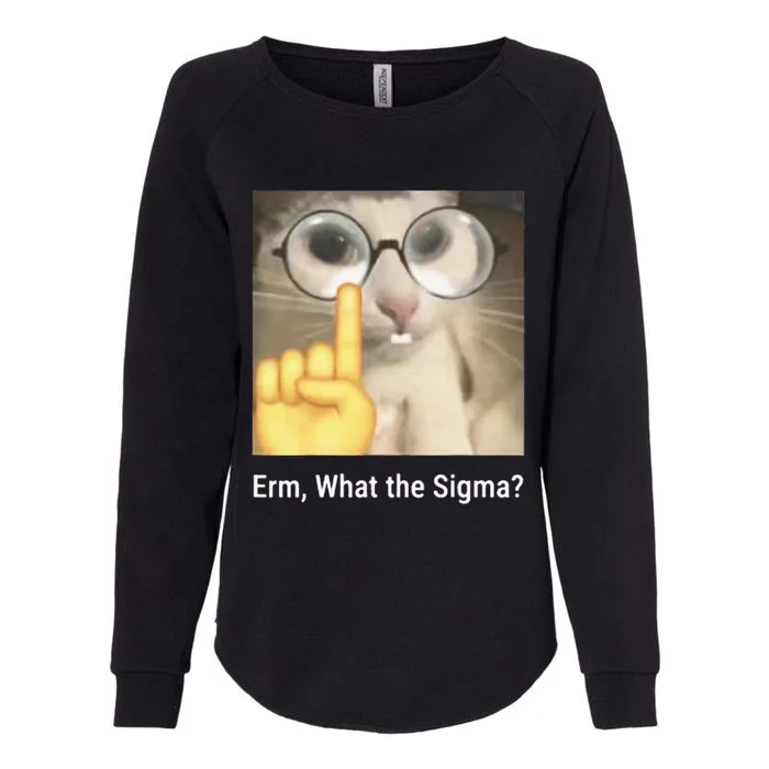 Erm What The Sigma Cat Meme Womens California Wash Sweatshirt