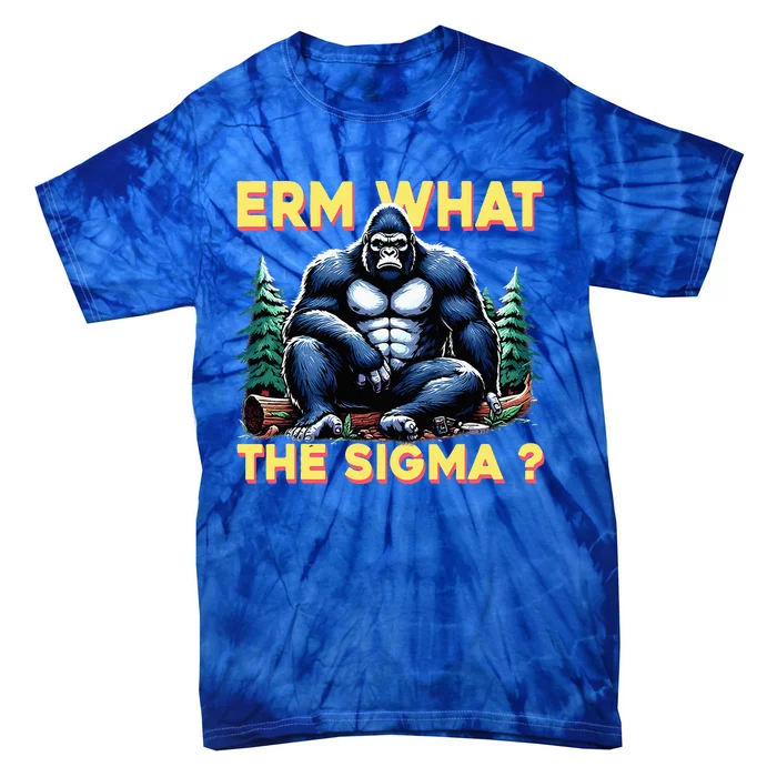 Erm What The Sigma Tie-Dye T-Shirt