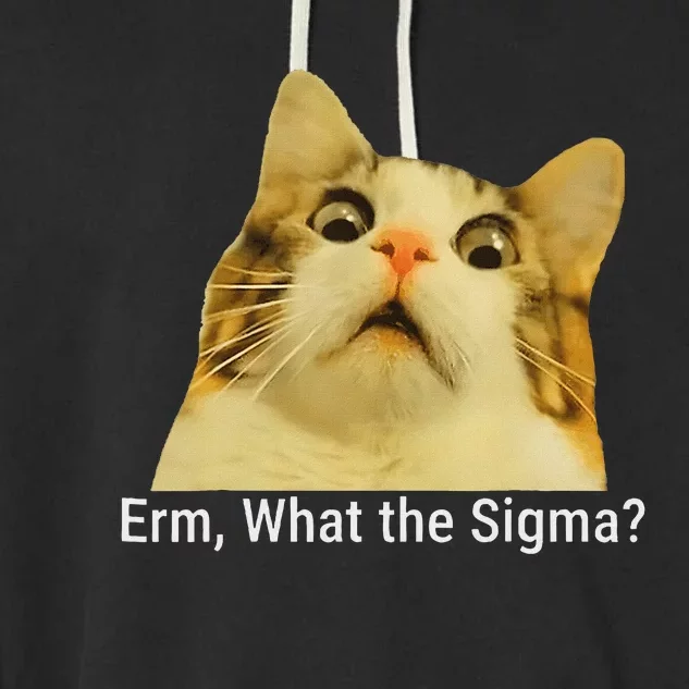 Erm What The Sigma Funny Quote Garment-Dyed Fleece Hoodie