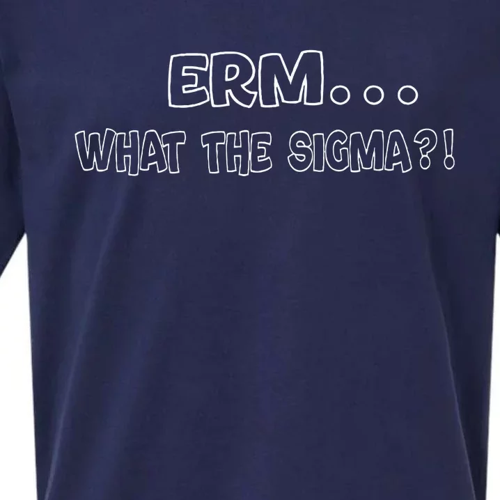 Erm What The Sigma Sueded Cloud Jersey T-Shirt