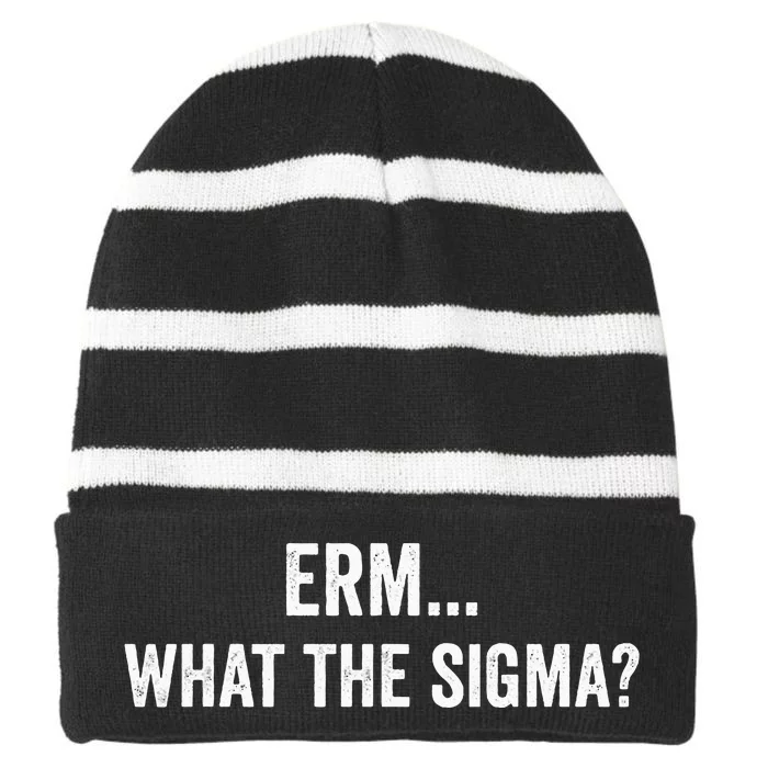 Erm What The Sigma Math Teacher Striped Beanie with Solid Band