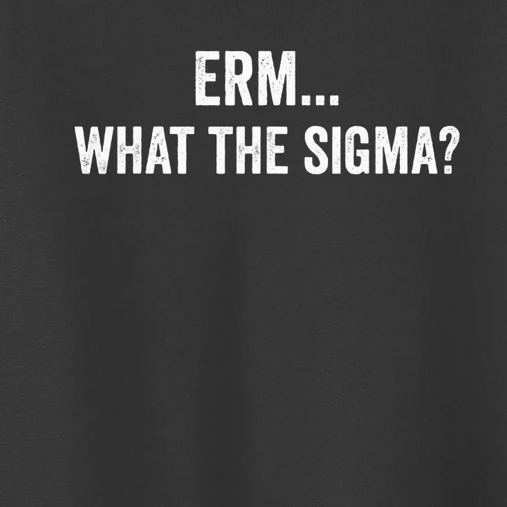 Erm What The Sigma Math Teacher Toddler T-Shirt