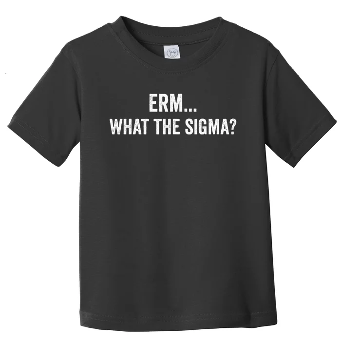 Erm What The Sigma Math Teacher Toddler T-Shirt