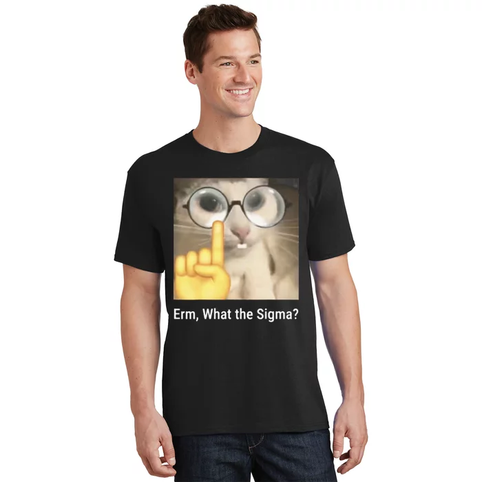 Erm What The Sigma Cat Meme T-Shirt