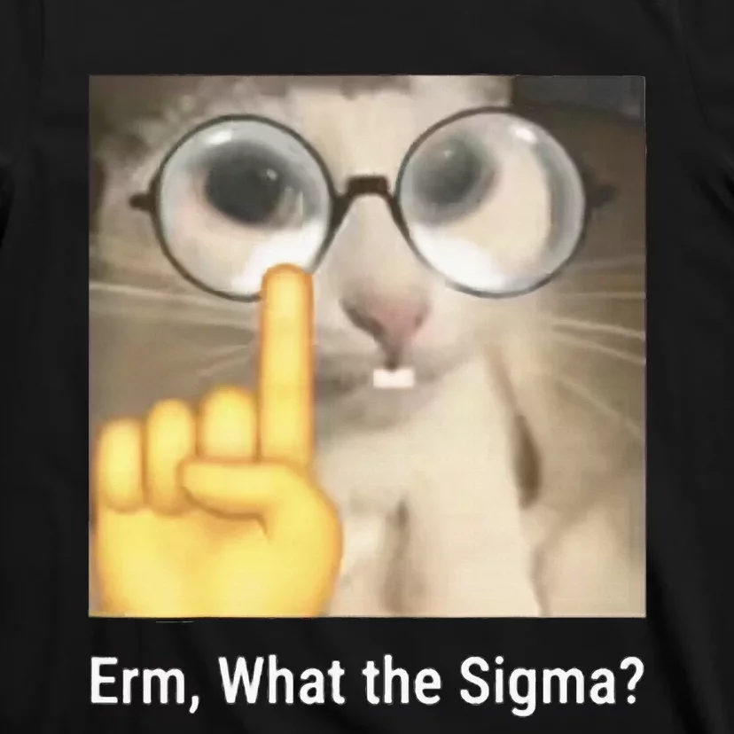 Erm What The Sigma Cat Meme T-Shirt