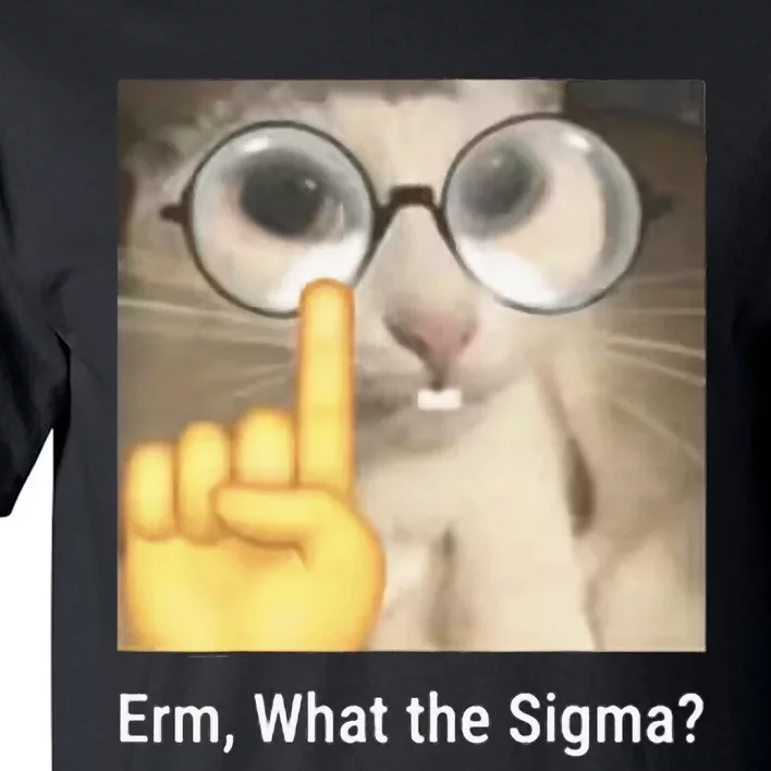 Erm What The Sigma Cat Meme Tall T-Shirt