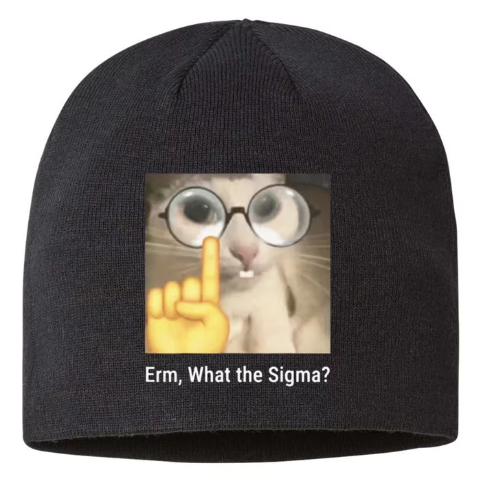 Erm What The Sigma Cat Meme 8 1/2in Sustainable Knit Beanie