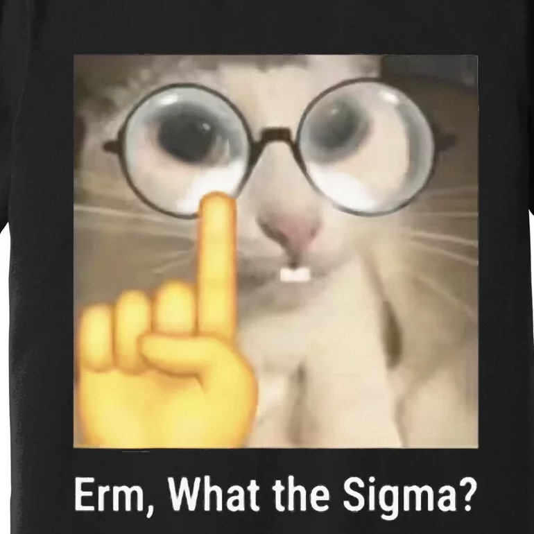 Erm What The Sigma Cat Meme Premium T-Shirt