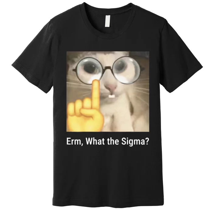 Erm What The Sigma Cat Meme Premium T-Shirt