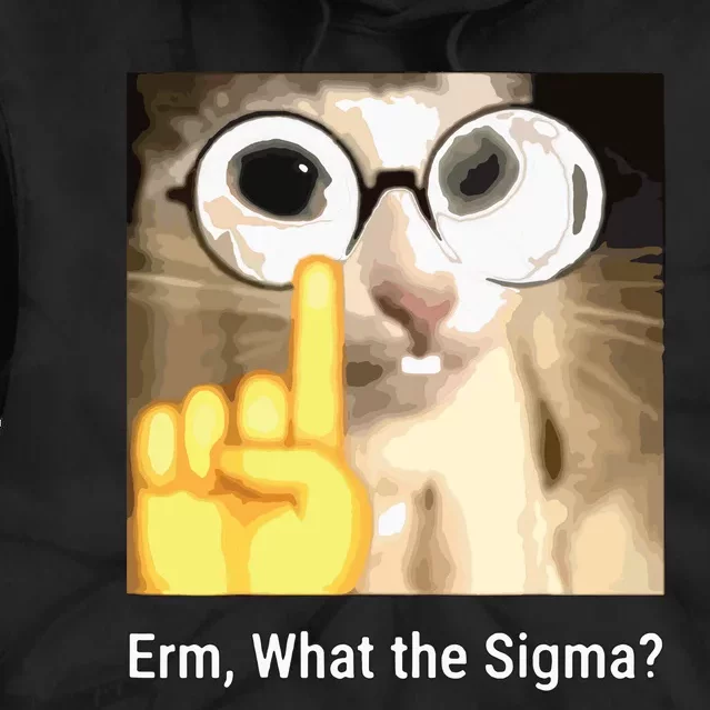 Erm What The Sigma Cat Meme Tie Dye Hoodie