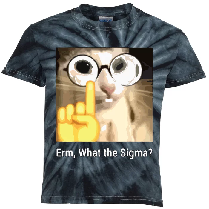 Erm What The Sigma Cat Meme Kids Tie-Dye T-Shirt