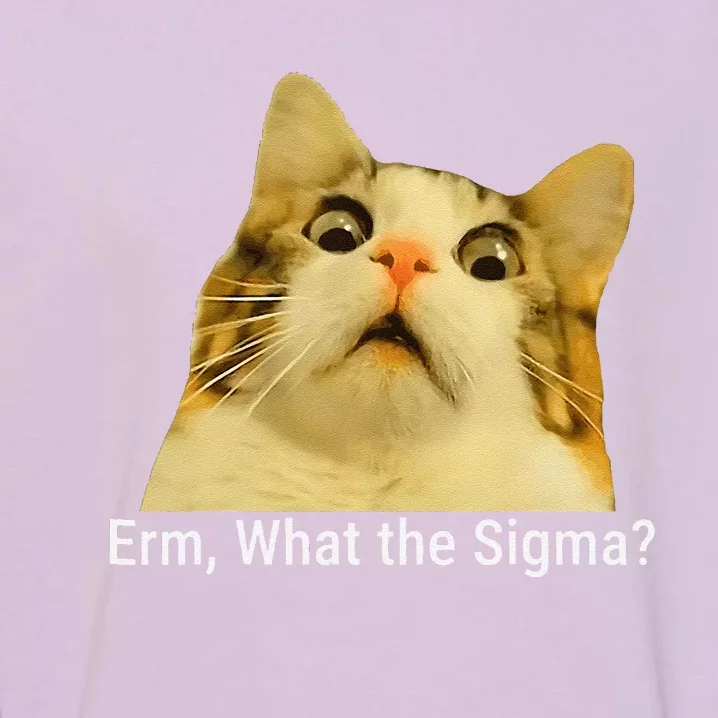 Erm What The Sigma Funny Quote Garment-Dyed Sweatshirt