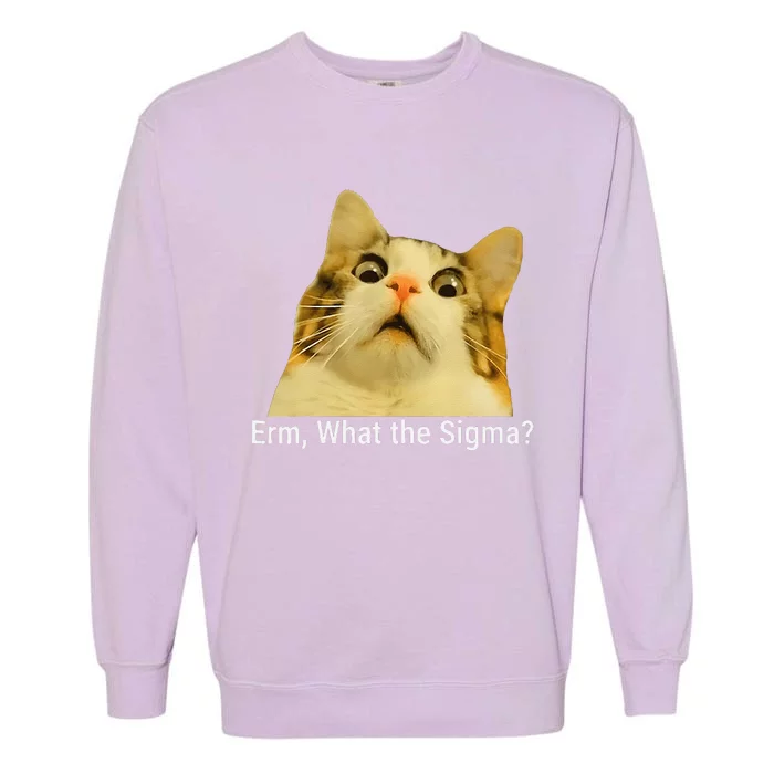 Erm What The Sigma Funny Quote Garment-Dyed Sweatshirt