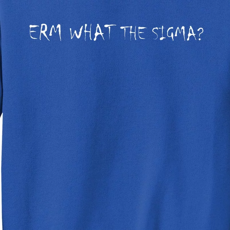 Erm What The Sigma Sweatshirt