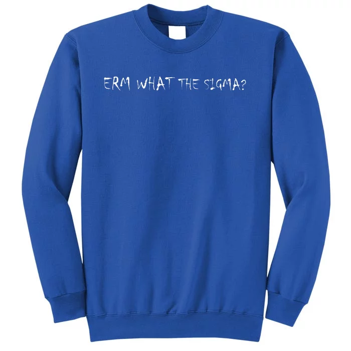 Erm What The Sigma Sweatshirt