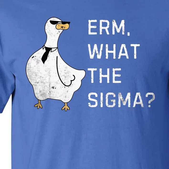 Erm What The Sigma Funny Meme Sigma Tall T-Shirt