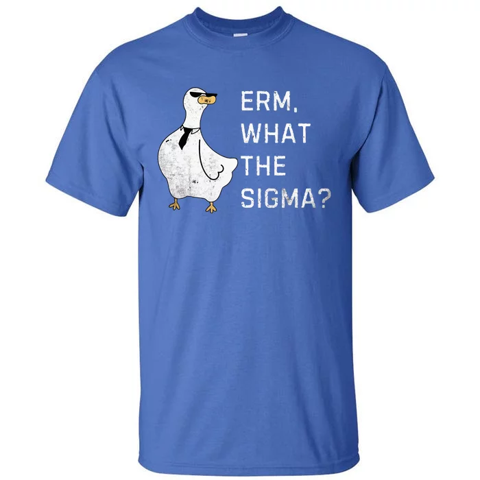 Erm What The Sigma Funny Meme Sigma Tall T-Shirt