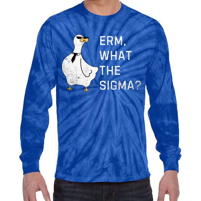 Erm What The Sigma Funny Meme Sigma Tie-Dye Long Sleeve Shirt