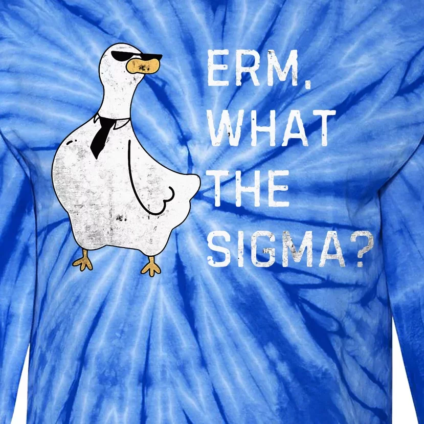 Erm What The Sigma Funny Meme Sigma Tie-Dye Long Sleeve Shirt