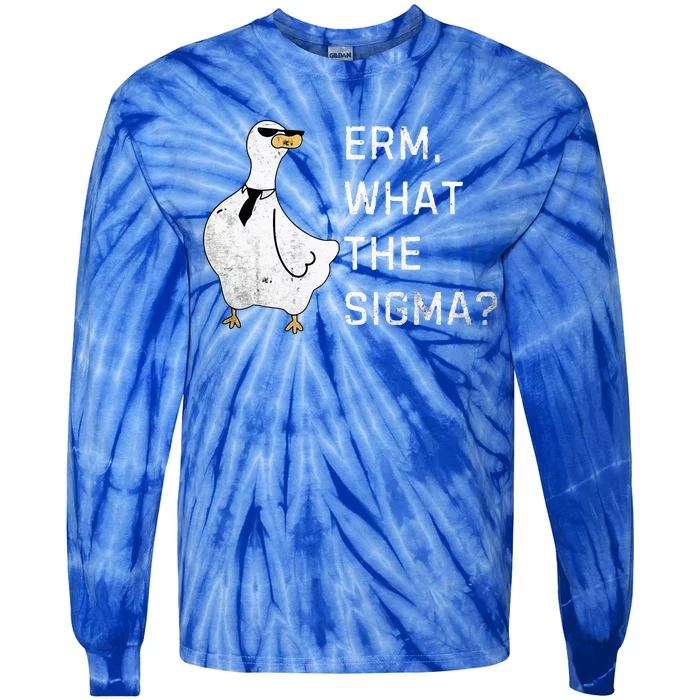 Erm What The Sigma Funny Meme Sigma Tie-Dye Long Sleeve Shirt