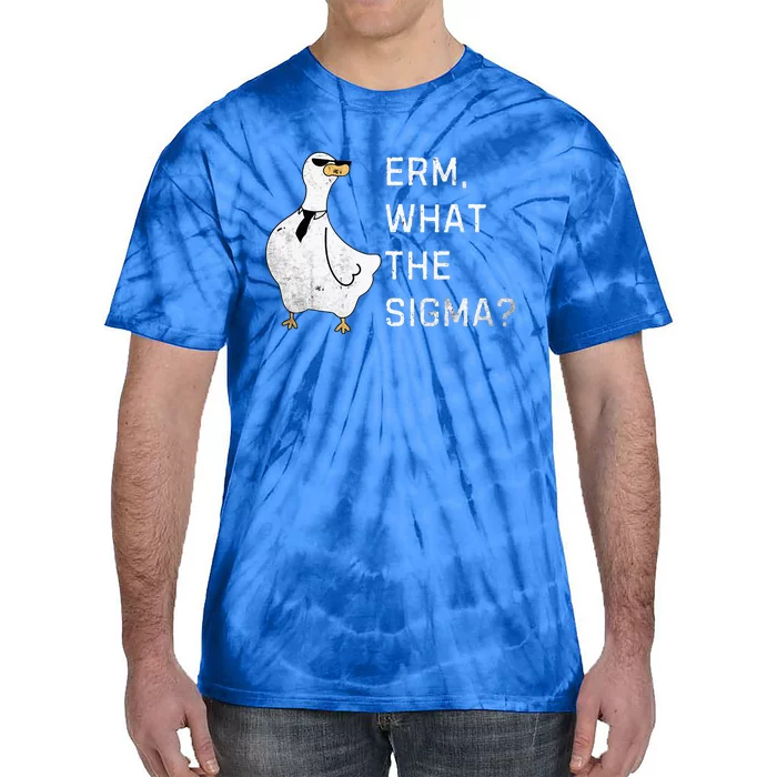 Erm What The Sigma Funny Meme Sigma Tie-Dye T-Shirt