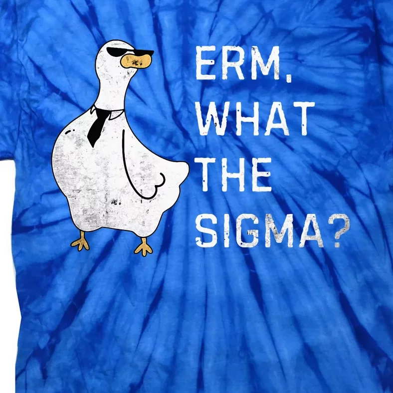 Erm What The Sigma Funny Meme Sigma Tie-Dye T-Shirt