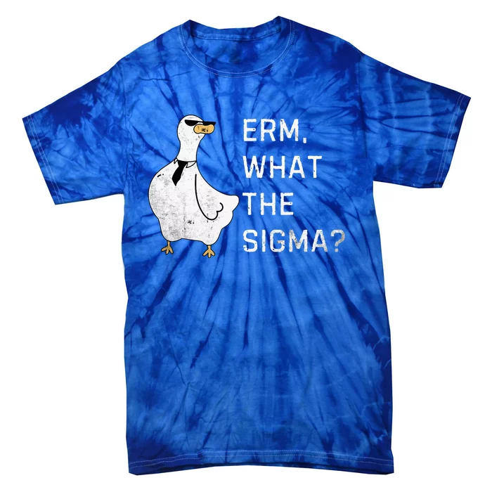 Erm What The Sigma Funny Meme Sigma Tie-Dye T-Shirt