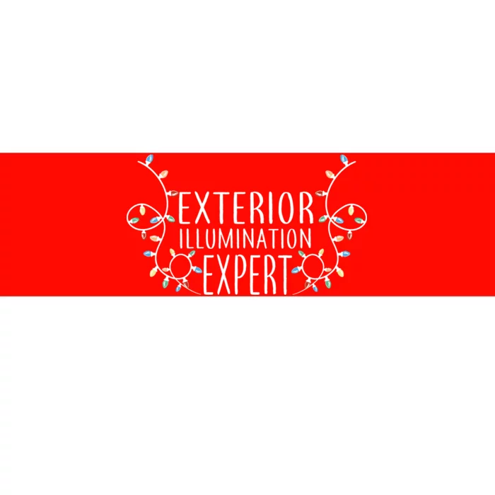 Exterior Illumination Expert Bumper Sticker