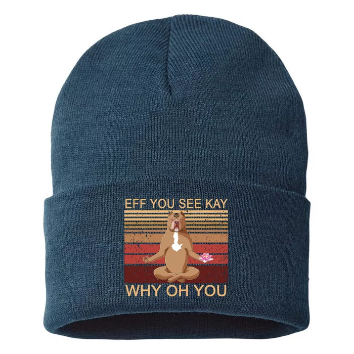 Eff You See Kay Why Oh You Funny Vintage Dog Yoga Sustainable Knit Beanie