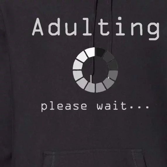 funny 18th Birthday Gift Ideas for 18 Years Old Premium Hoodie