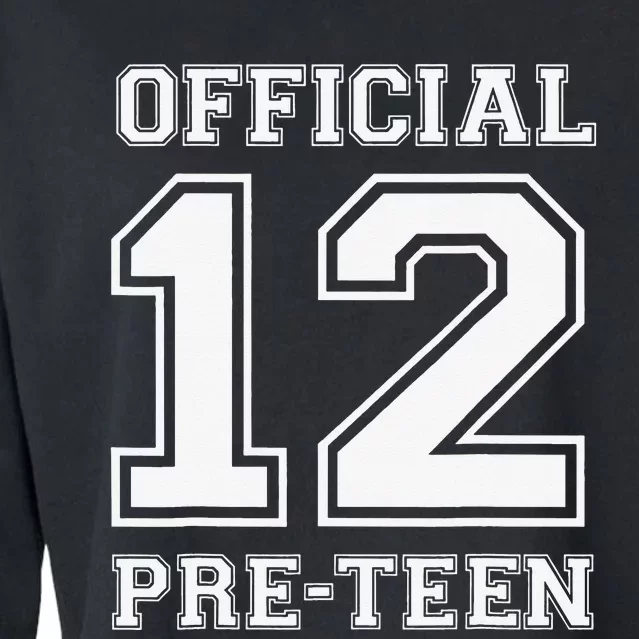 Funny 12th Birthday 12 Year Old 2010 12 PreTeen Cropped Pullover Crew