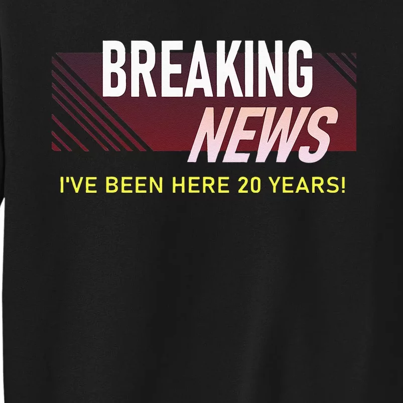 Funny 20 Year Work Anniversary 20th Employee Appreciation Sweatshirt