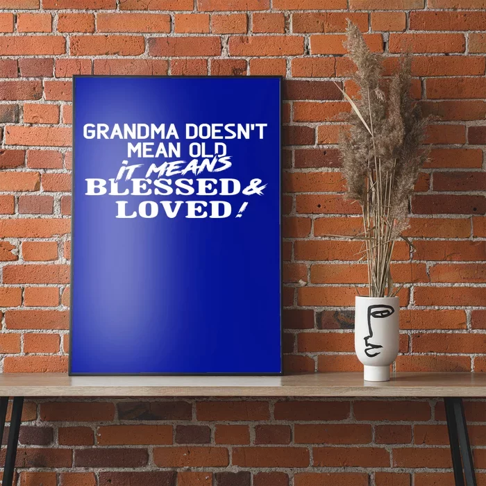 Family 365 Grandma Means Blessed And Loved Christmas Gift Cool Gift Poster