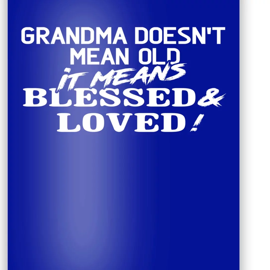 Family 365 Grandma Means Blessed And Loved Christmas Gift Cool Gift Poster