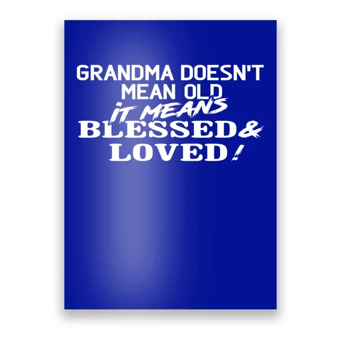 Family 365 Grandma Means Blessed And Loved Christmas Gift Cool Gift Poster