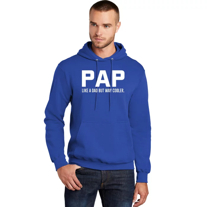 Family 365 Pap Like A Dad But Way Cooler Grandpa Great Gift Hoodie