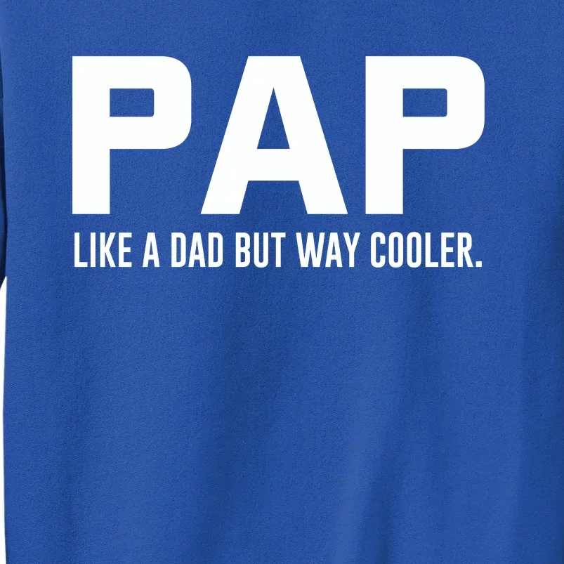 Family 365 Pap Like A Dad But Way Cooler Grandpa Great Gift Sweatshirt