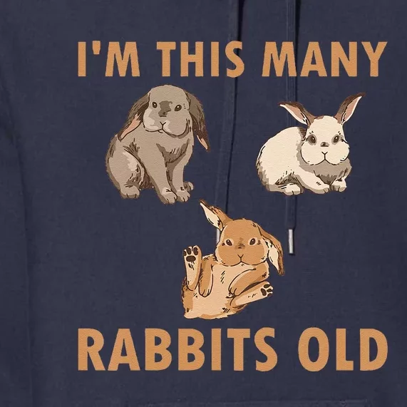 Funny 3 Year Old Bunny Rabbits Old 3rd Birthday Premium Hoodie